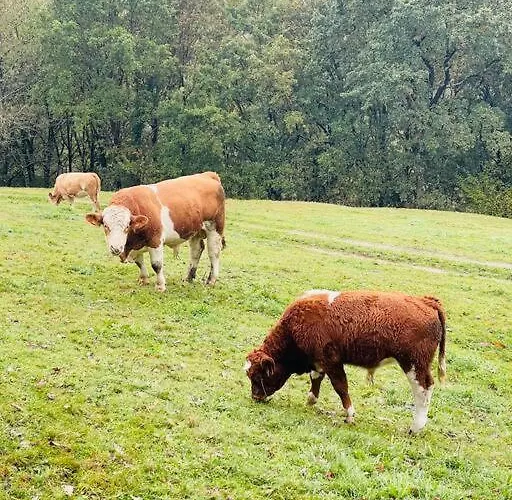 Holiday home La Casuca *